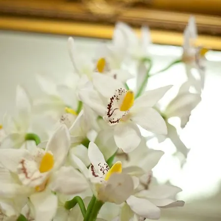 Marignoli Apartment Rome