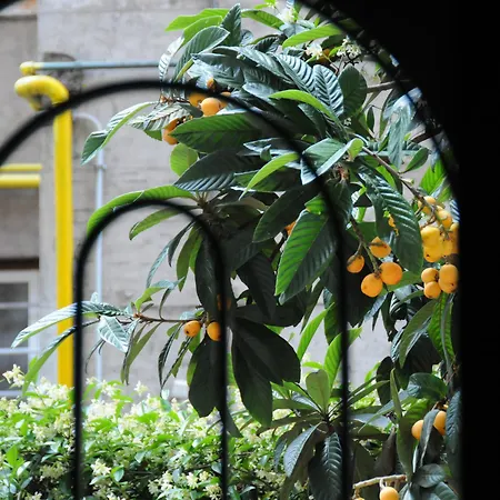 Circus Maximus Bed & Breakfast Rome