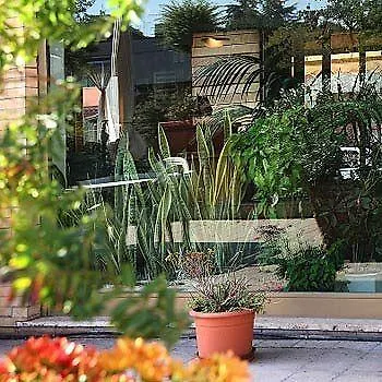 Derby Hotel 3*