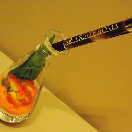 Aria Prázdninový dům Řím