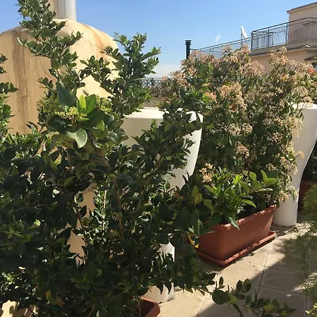 Terrazza Fiorita Rome