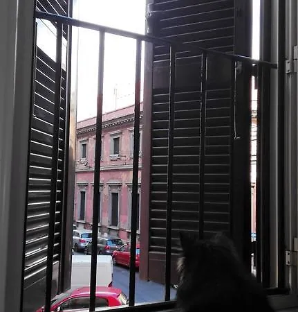 Hostel Tempus