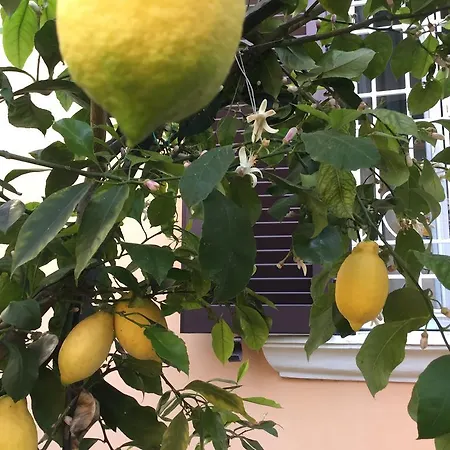 Gianicolo Penny's Garden Rome