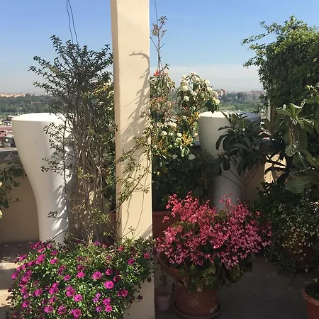 Terrazza Fiorita Rome