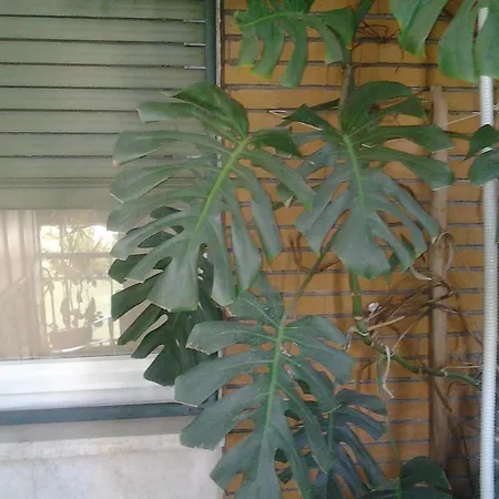 Olimpica Relais Guest House 2* Rome