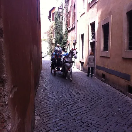 Mgpgroup Navona 2 *