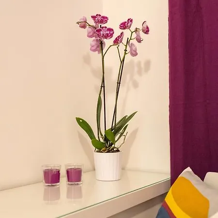 Guest house Acchiappasogni Rome