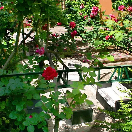 Monteverde Apartment