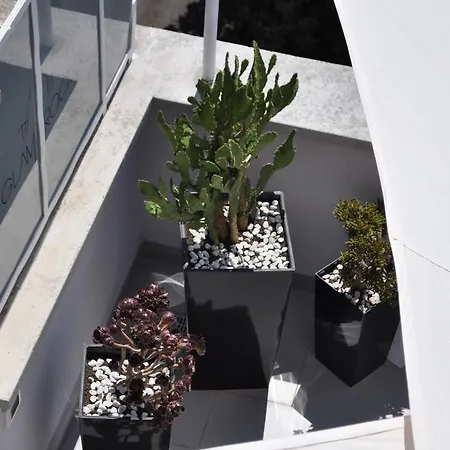 Glamroom Luxury Terrace Affittacamere Roma