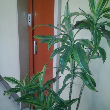 Olimpica Relais Guest House Guest house 2*