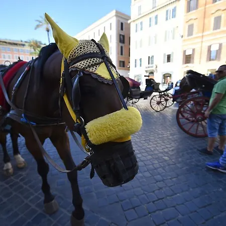 Bed & Breakfast Al Centro Storico Di 3*