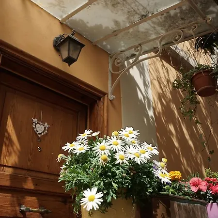 Gianicolo Penny's Garden Holiday home