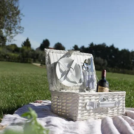 Farma Grappoli Di Sole *