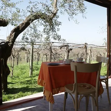 Farm stay Grappoli Di Sole *