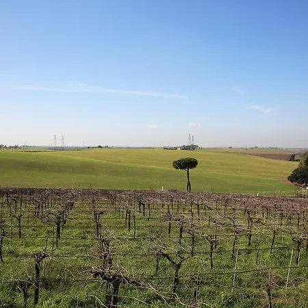 Farm stay Grappoli Di Sole *