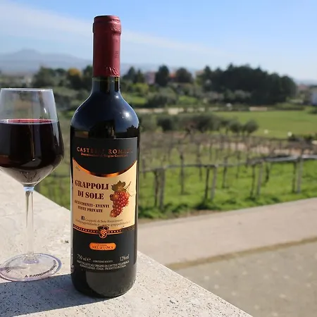 Grappoli Di Sole Alloggio per agriturismo *