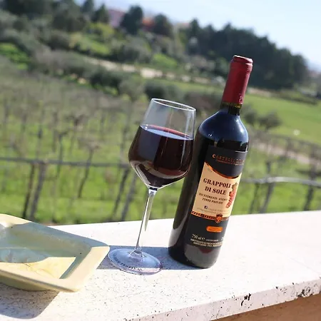 Farm stay Grappoli Di Sole Rome