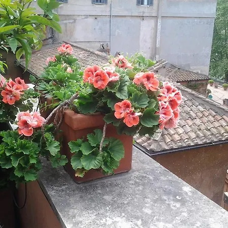 Apartment Casa Giulia Rome