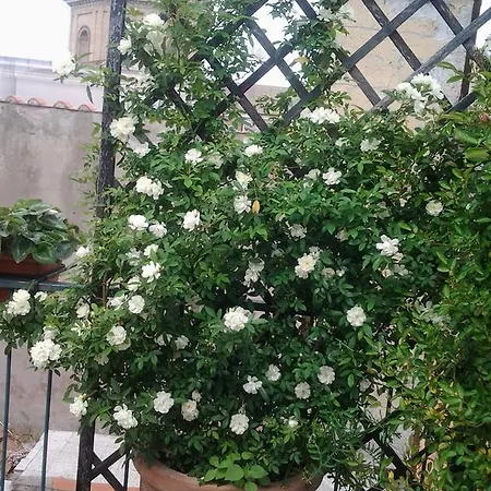 Apartment Casa Giulia