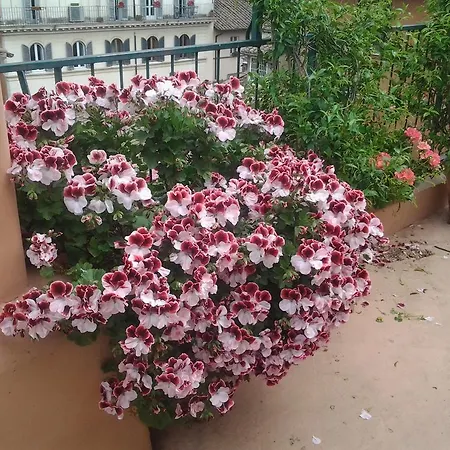 Casa Giulia Apartment Rome