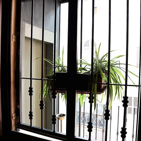 Apartment Palazzo Donarelli *