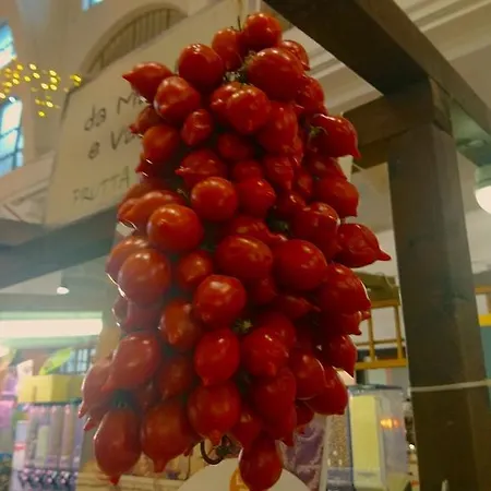 圣米歇尔庇亚城门住宿加早餐旅馆 住宿加早餐酒店 罗马