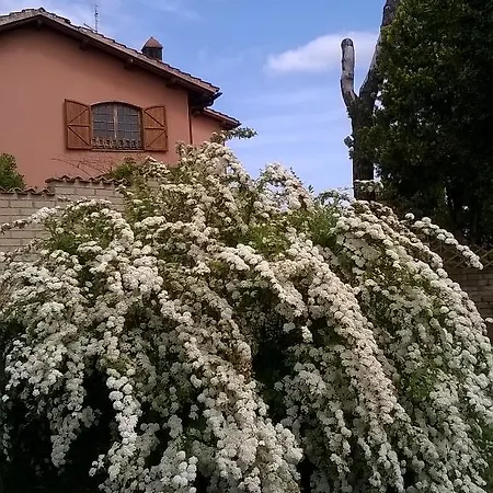 Il Casale Dell'ara Delle Rose Bed and breakfast Roma