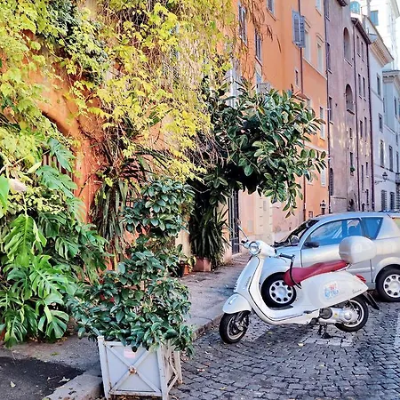 Navona *