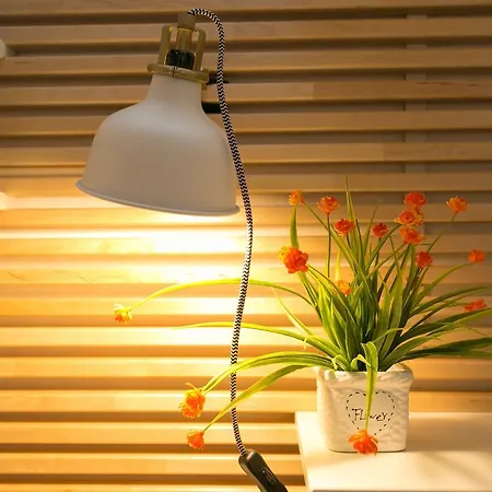 S.angelo Terrace Sq Navona Appartement