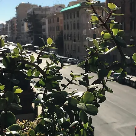 Pardis 3* Roma