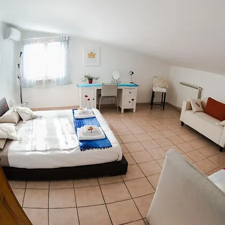 Floral House Ciampino Rome
