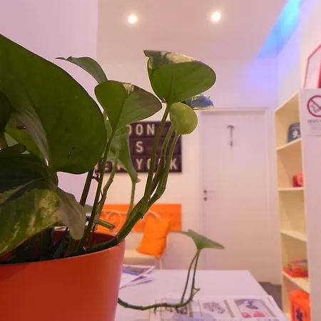Vica Pota Guest house Rome