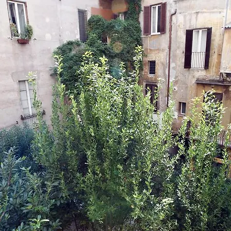 Domus Pellegrino Rome