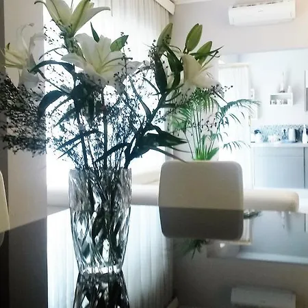 Apartment Luxury In Vatican Area *