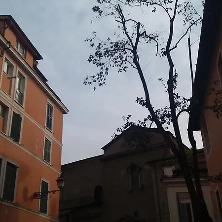 Il Cuore Di Trastevere_design *