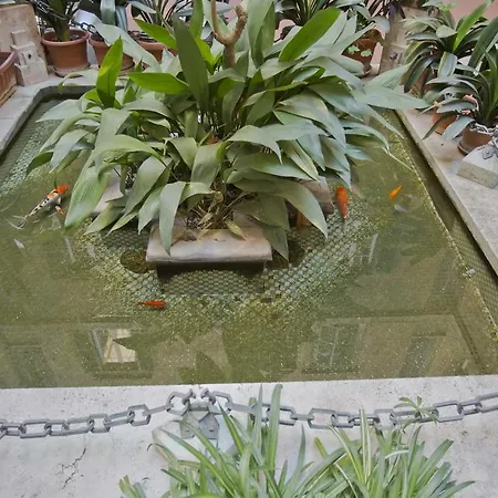 Casa Di Bine *
