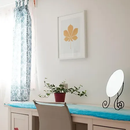 Floral House Ciampino *