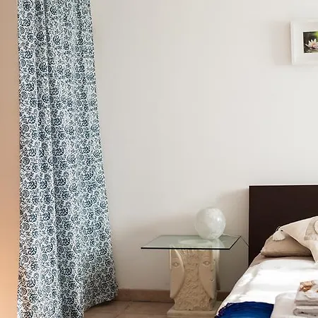Floral House Ciampino