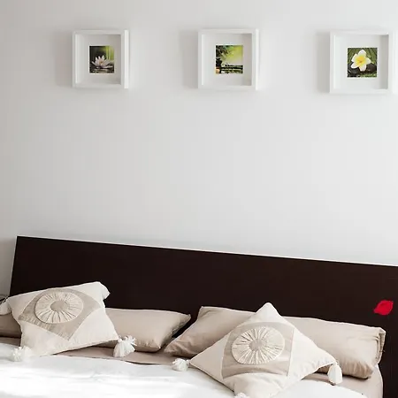 Homestay Floral House Ciampino