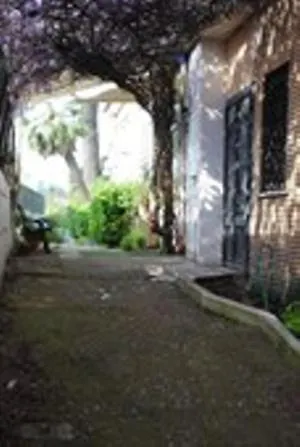 Hotel Rosen 2*