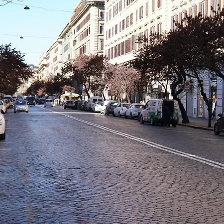Ezio View *