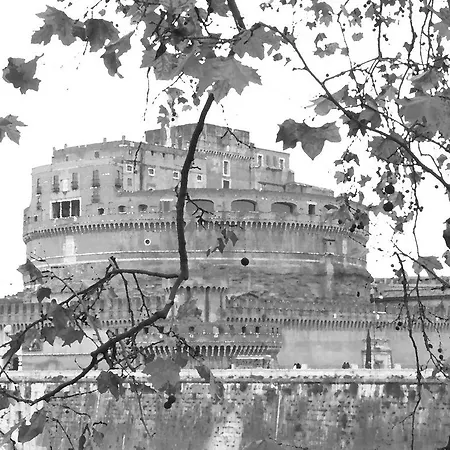 Blueberry * Rome