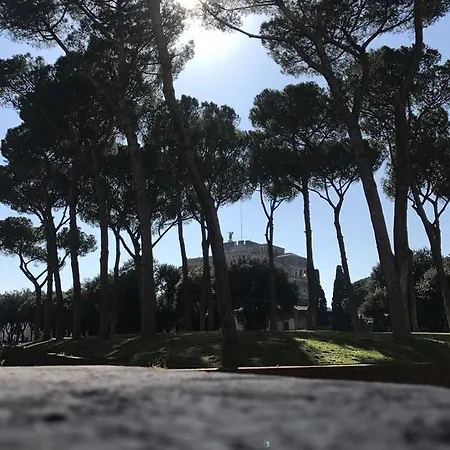 Cassiodoro19 Pensjonat Rzym