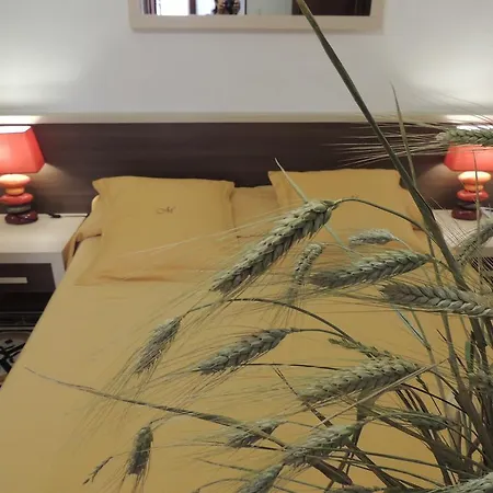 Morelli Bed & Breakfast 2*