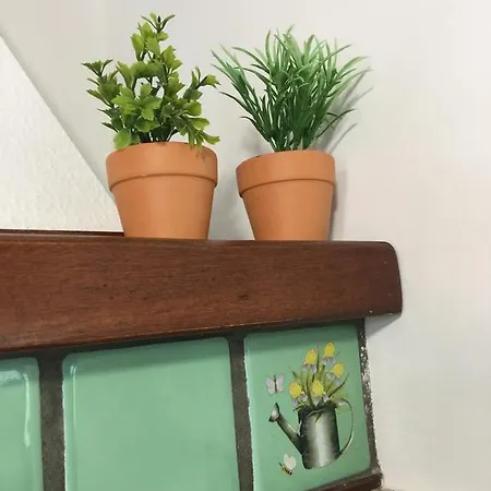 Apartment Romamor