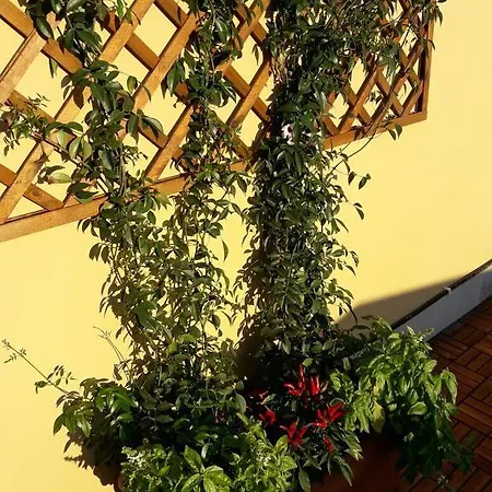 Al Civico Bed & Breakfast