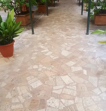 梵蒂冈罗斯安蒂奇住宿加早餐旅馆 罗马