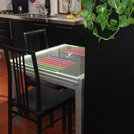 Floral House Ciampino