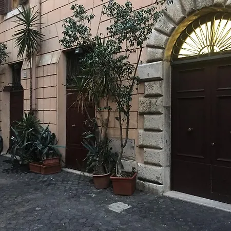 Isolatiberina