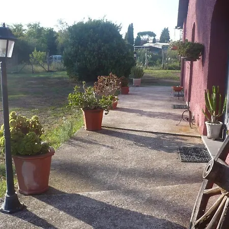 Il Baffetto Bed & Breakfast Roma